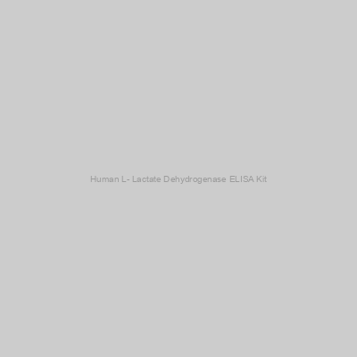 Human L- Lactate Dehydrogenase ELISA Kit
